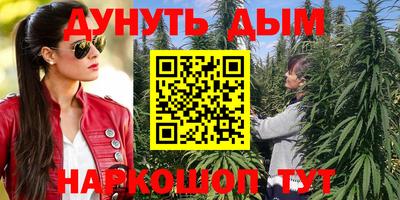 трава Будённовск